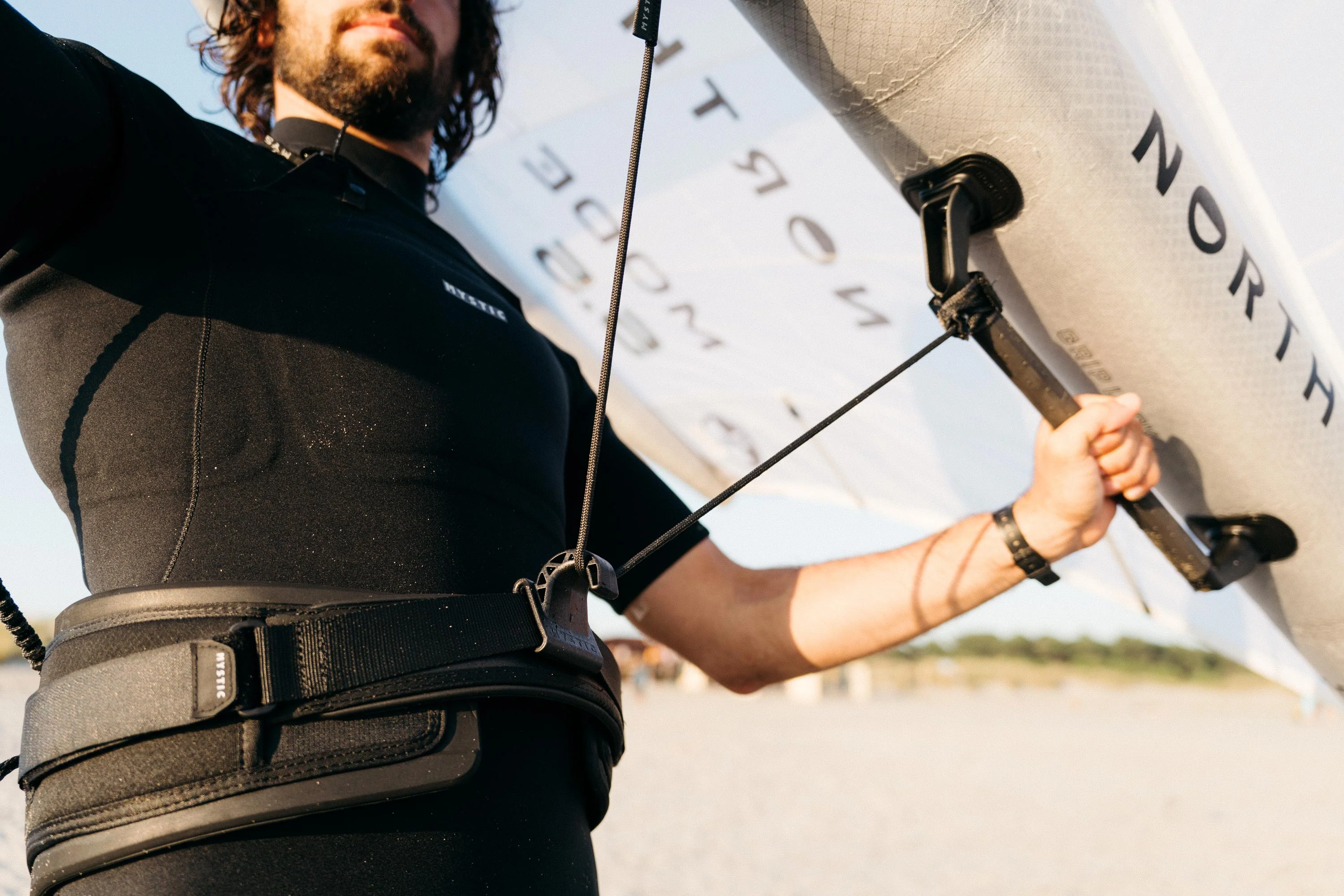 Majestic Wing Harness - Image 5