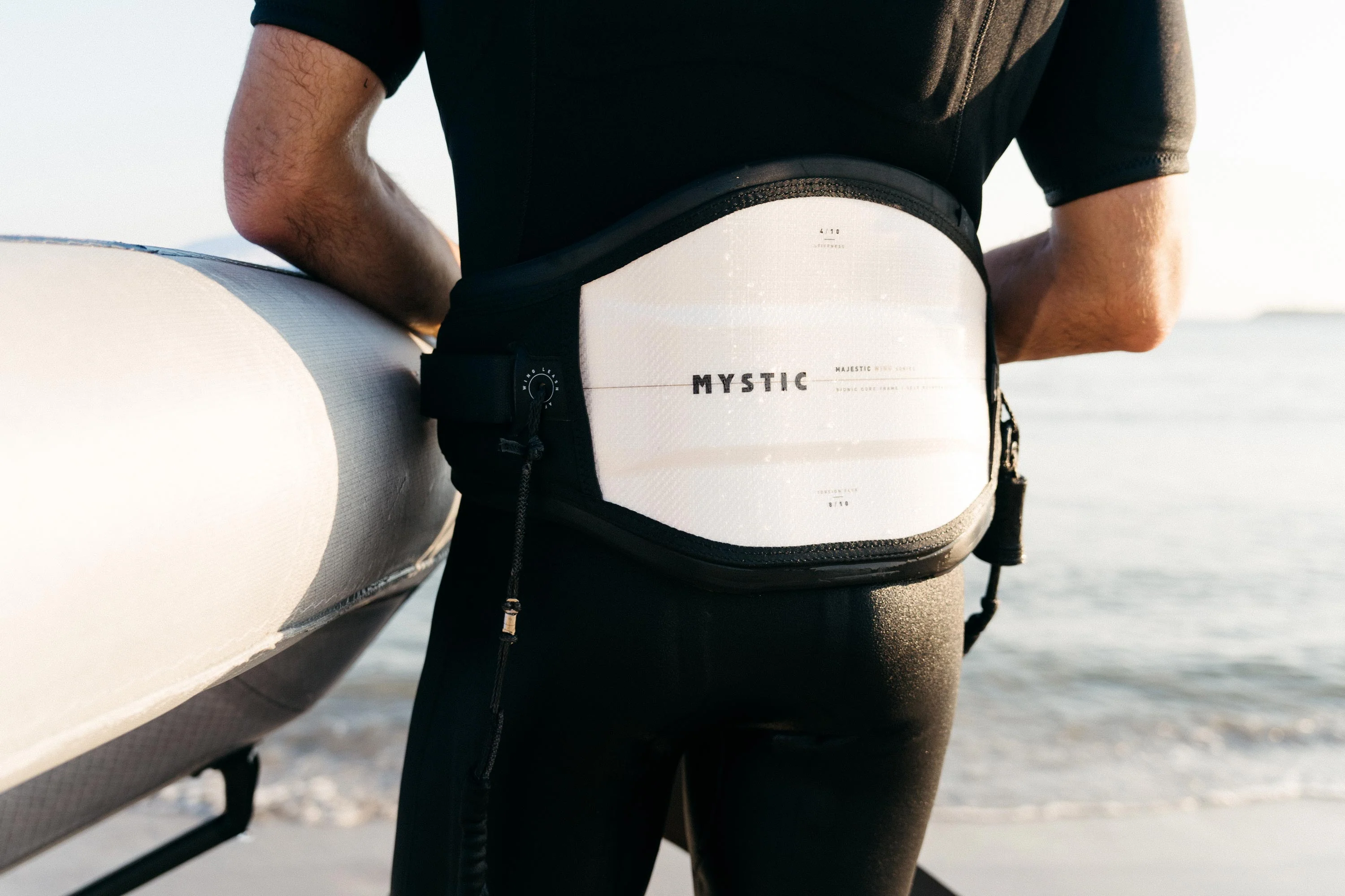 Majestic Wing Harness - Image 7