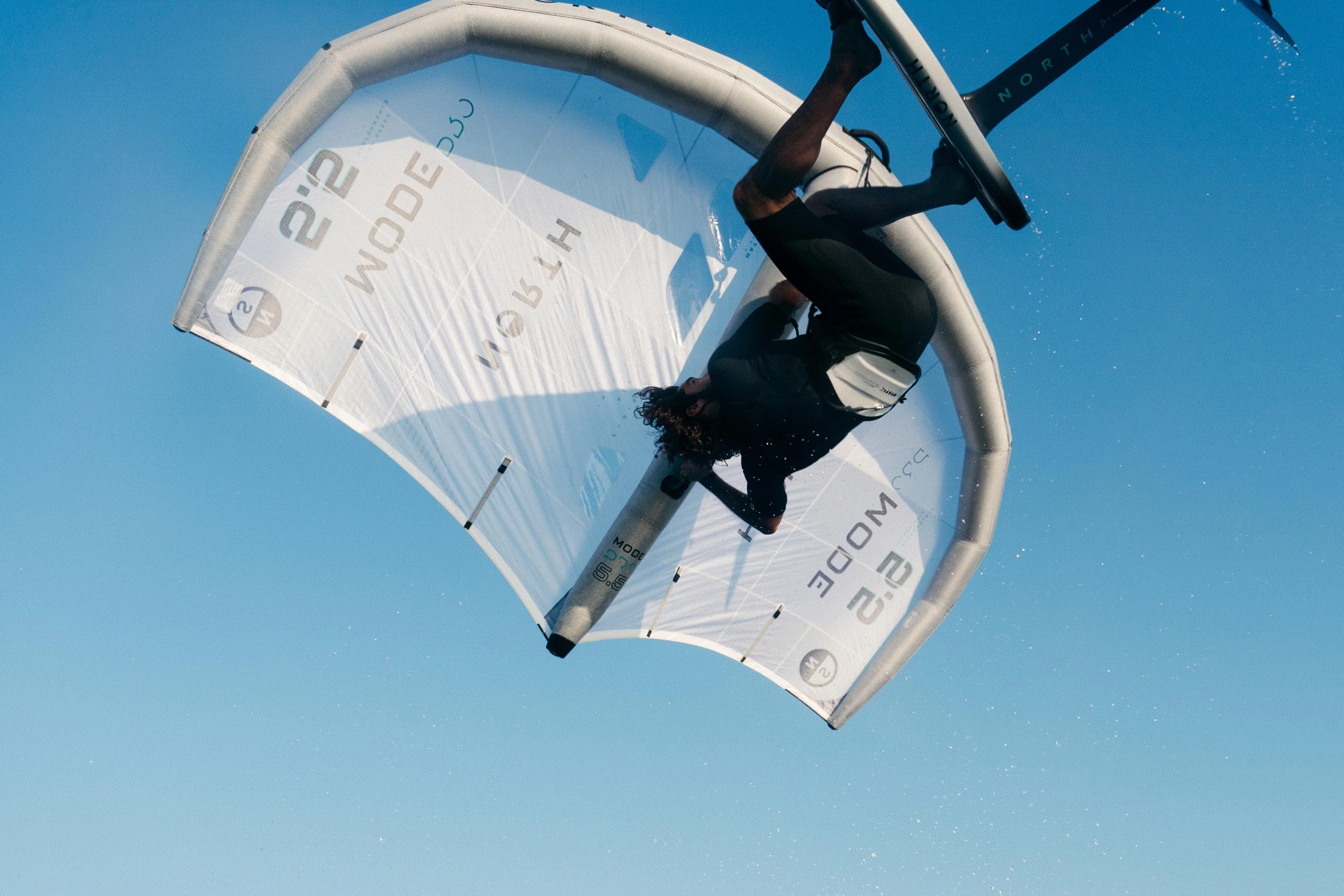 Majestic Wing Harness - Image 8